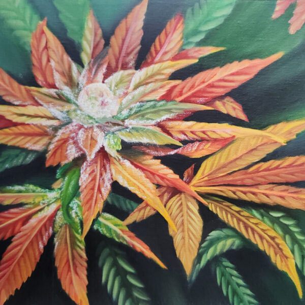 Autumn Jam Cannabis Print