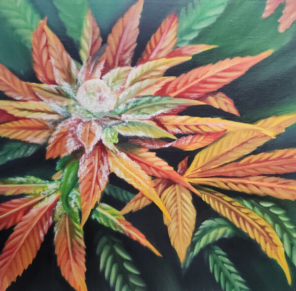 Autumn Jam Cannabis Print